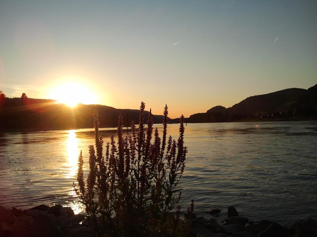 Fe Wo Am Alten Rathaus Andernach Pokoj fotografie